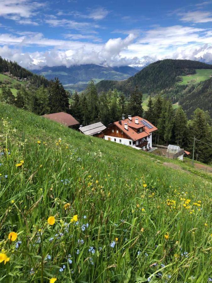 Holiday home Ringgelinhof Onach